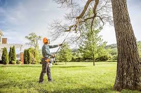 Best Root Management and Removal  in Lincolnwood, IL