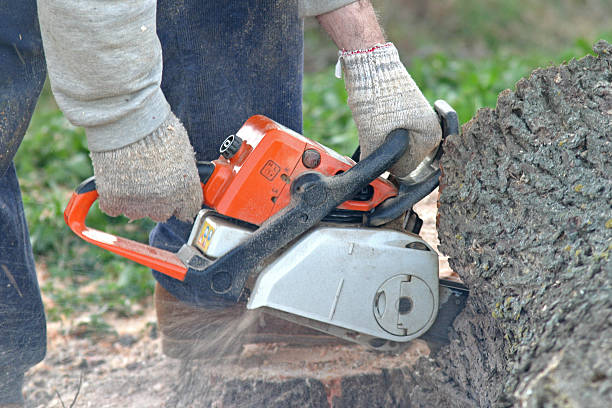 Lawn Watering Services in Lincolnwood, IL